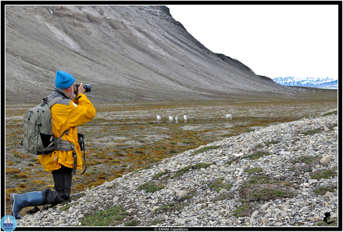 Spitzberg - exploration polaire et ski de randonnée à bord du voilier Kamak